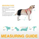 LISPOO Labrador Dog Hip Brace