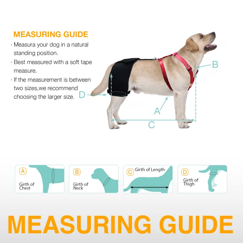 LISPOO Labrador Dog Hip Brace