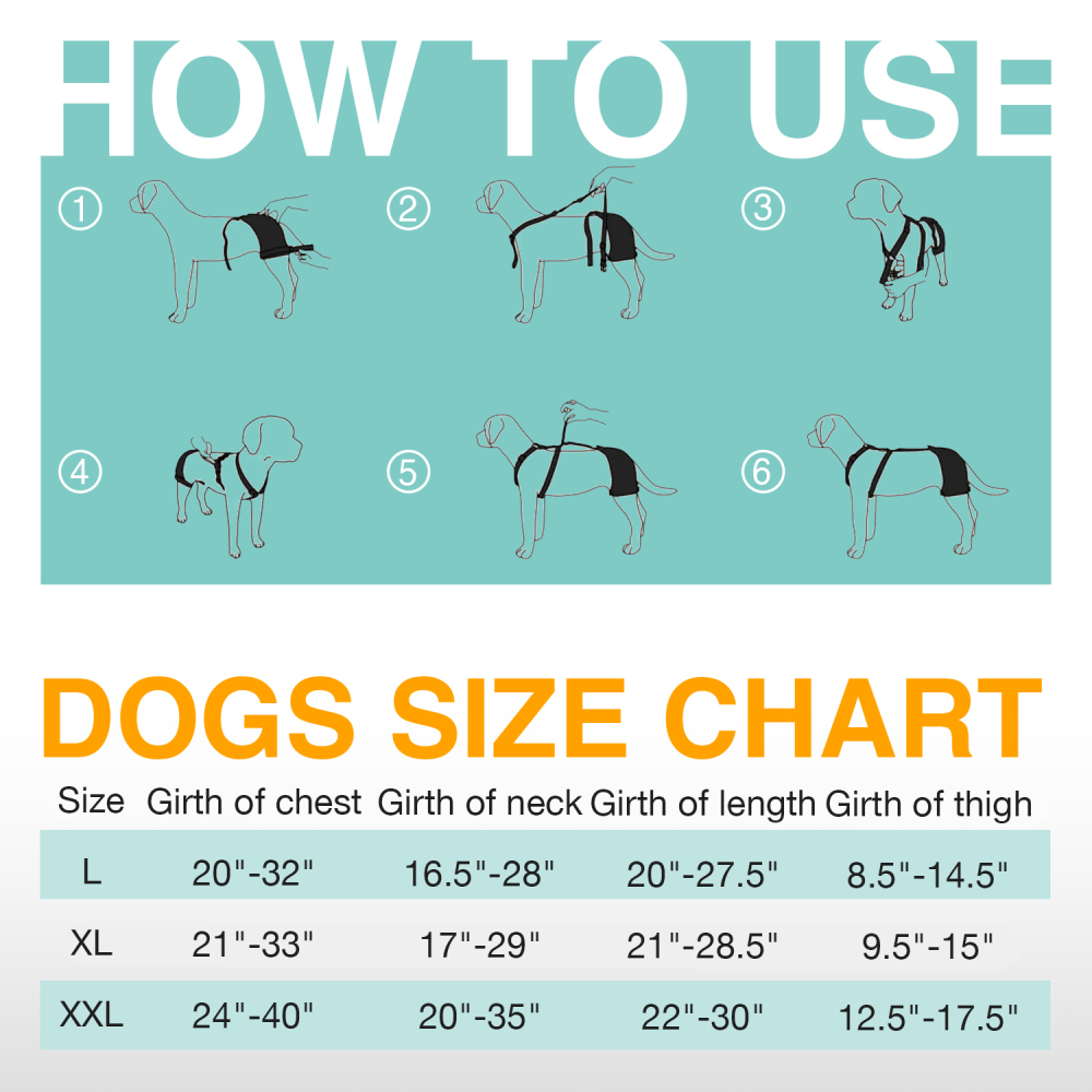 LISPOO Labrador Dog Hip Brace