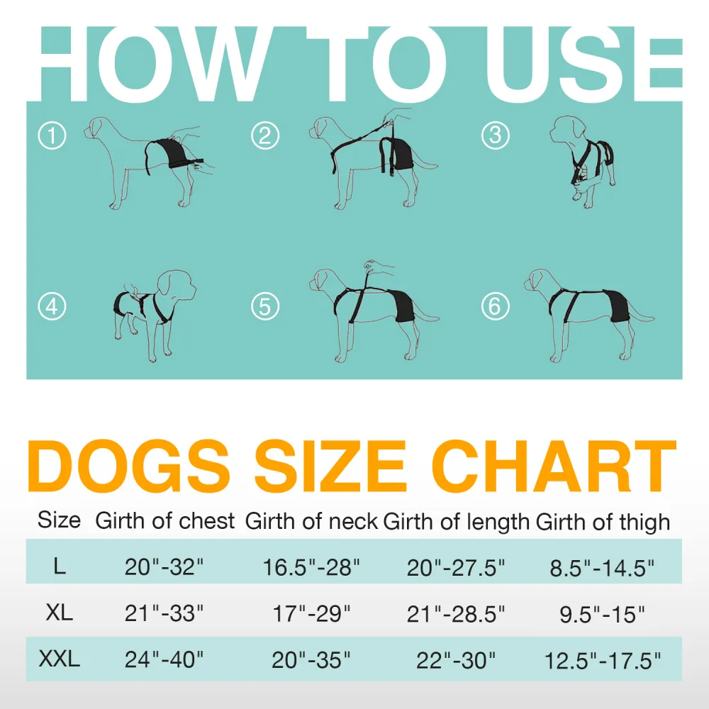 LISPOO Labrador Dog Hip Brace