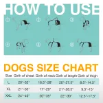 LISPOO Labrador Dog Hip Brace
