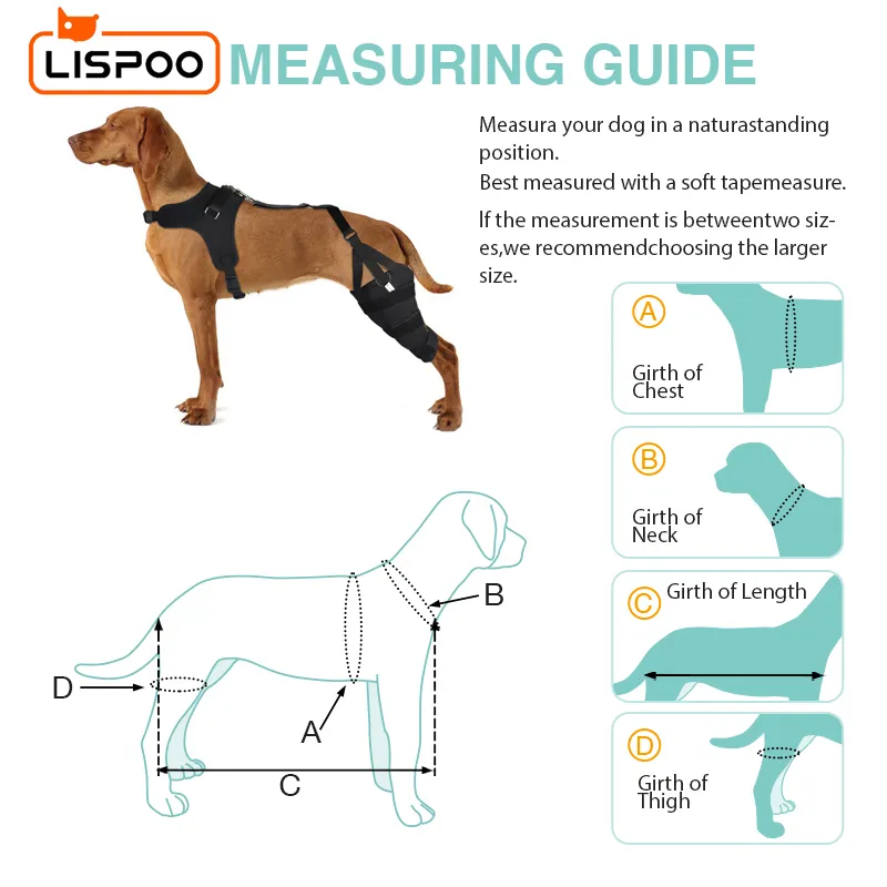 LISPOO Dog Knee ACL Brace With Metal Splint Hinged Flexible Support -  Crawlpaw