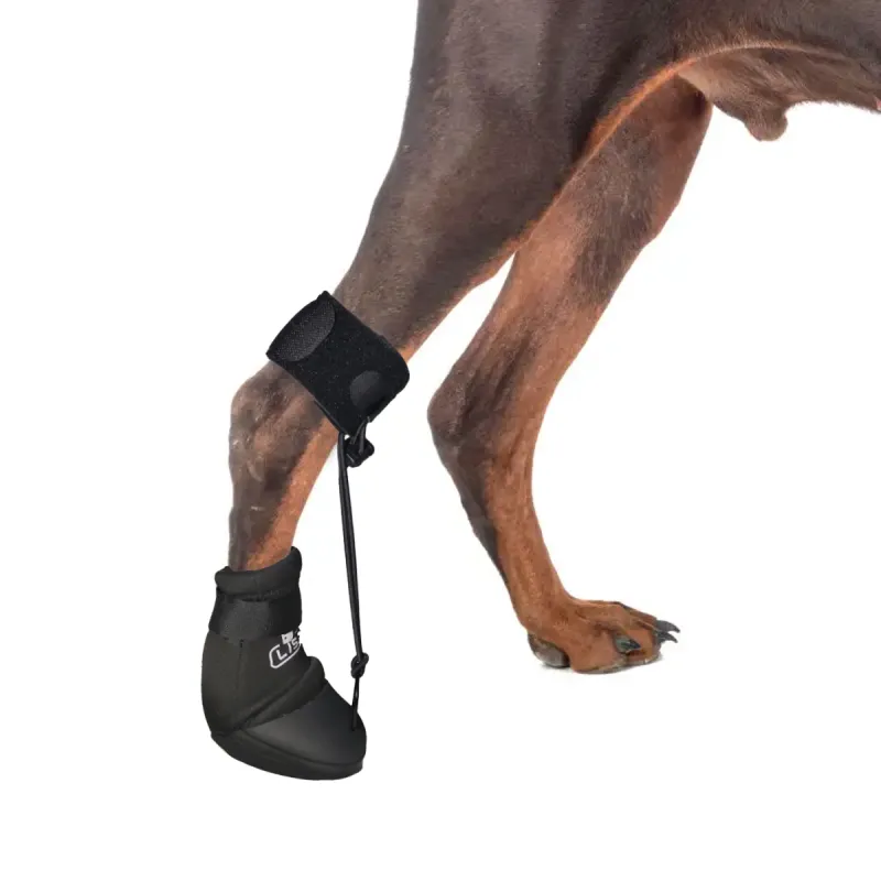 LISPOO Toe Up Boots For Dog00