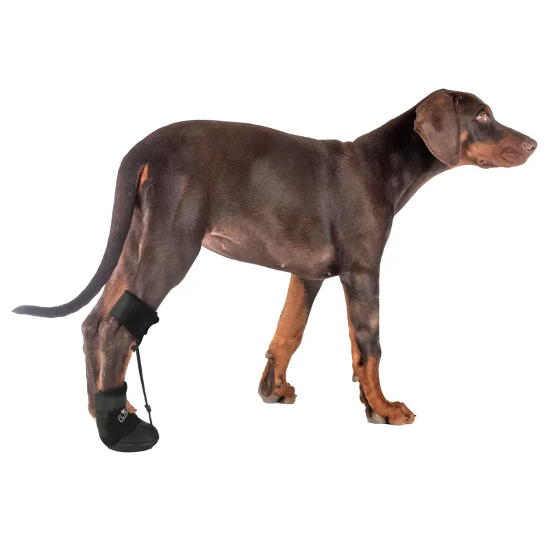 LISPOO Toe Up Boots For Dog06