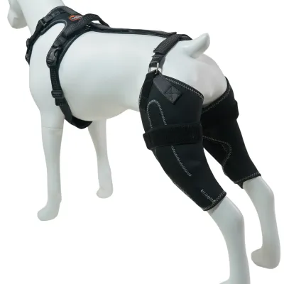 LISPOO Dog ACL Knee Braces 01
