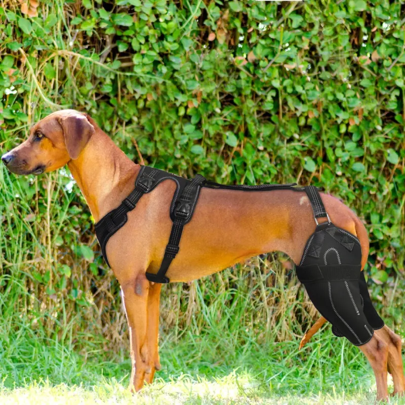 LISPOO Dog ACL Knee Braces06