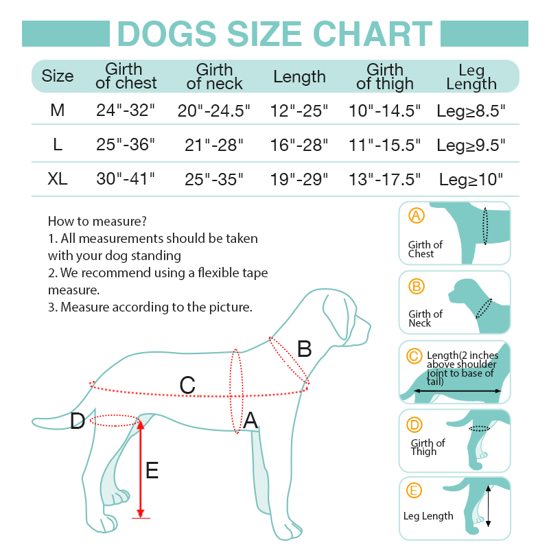 LISPOO Dog ACL Knee Pads