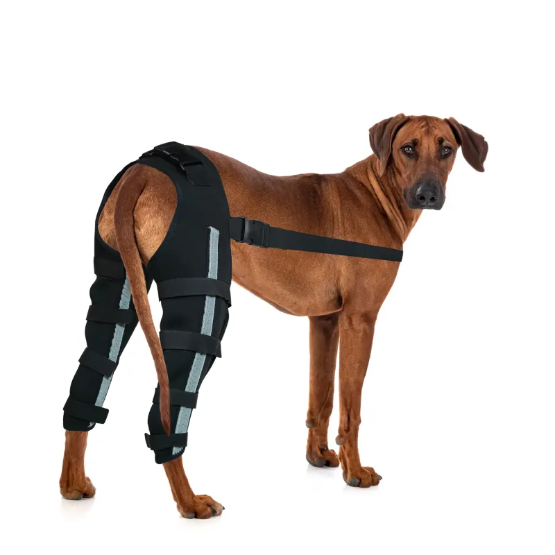 Dog Acl Braces Fix Joint Damage Knee Braces for Dogs - Crawlpaw