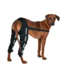 Dog Acl Braces Fix Joint Damage Knee Braces for Dogs