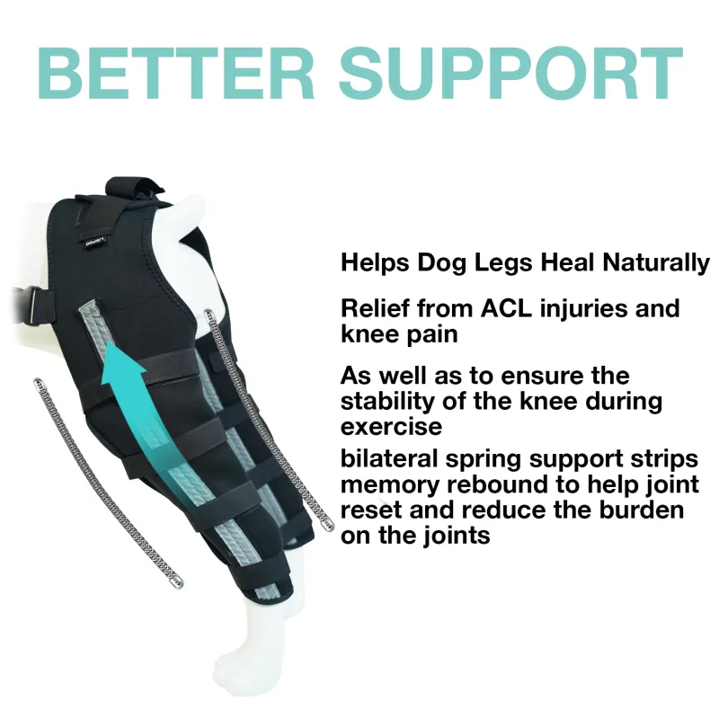 Dog Acl Braces Fix Joint Damage Knee Braces for Dogs02