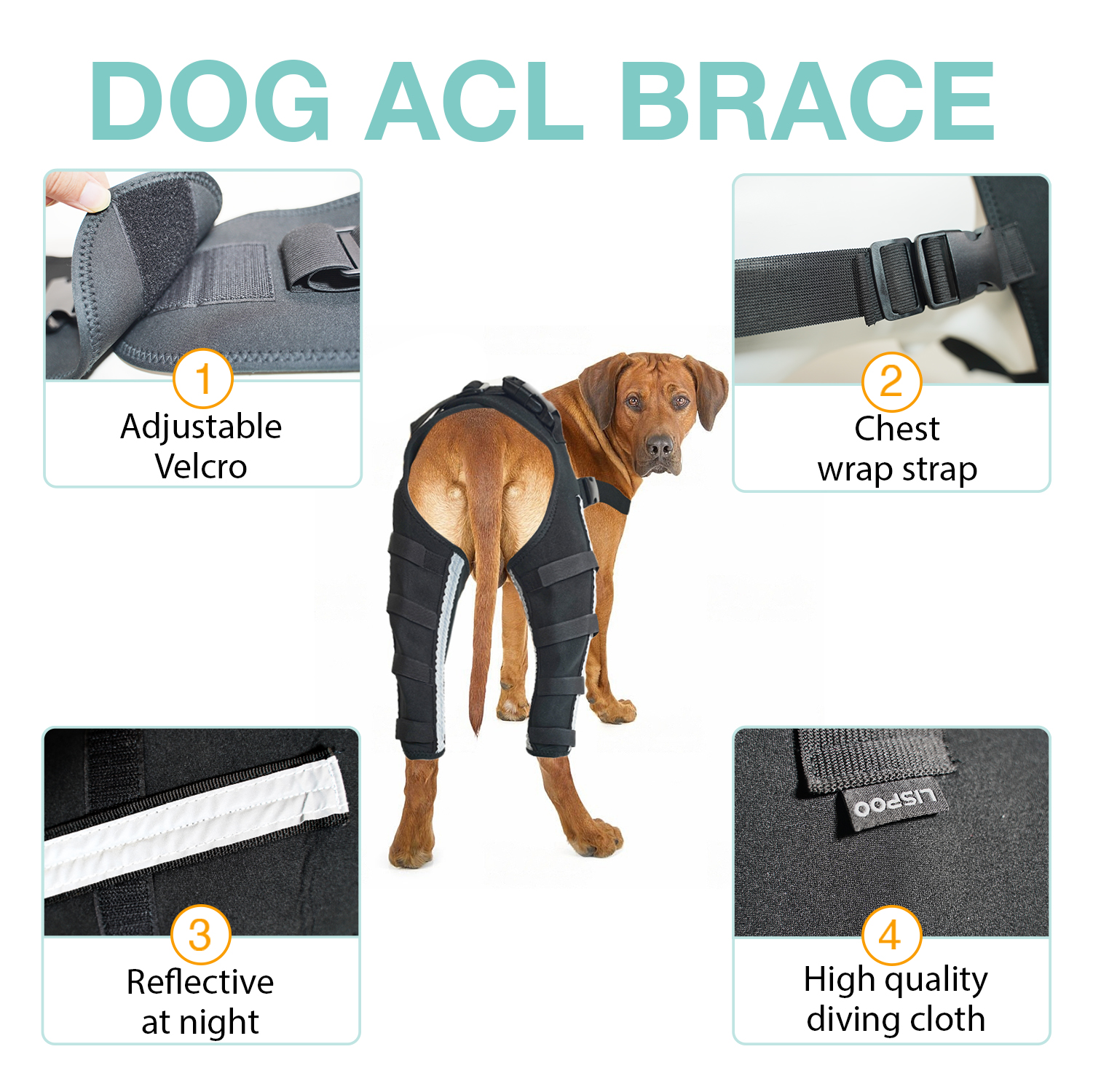 Dog Acl Braces Fix Joint Damage Knee Braces for Dogs