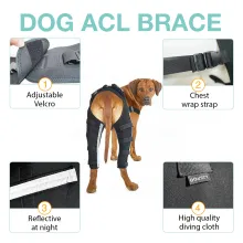 Dog Acl Braces Fix Joint Damage Knee Braces for Dogs03