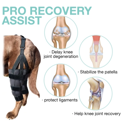 LISPOO Dog Knee ACL Brace With Metal Splint Hinged Flexible Support 02