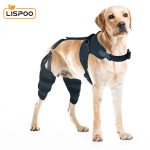LISPOO Dog Knee ACL Brace With Metal Splint Hinged Flexible Support