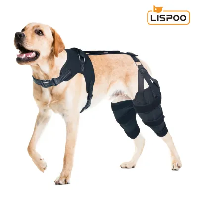 LISPOO Dog Knee ACL Brace With Metal Splint Hinged Flexible Support 01