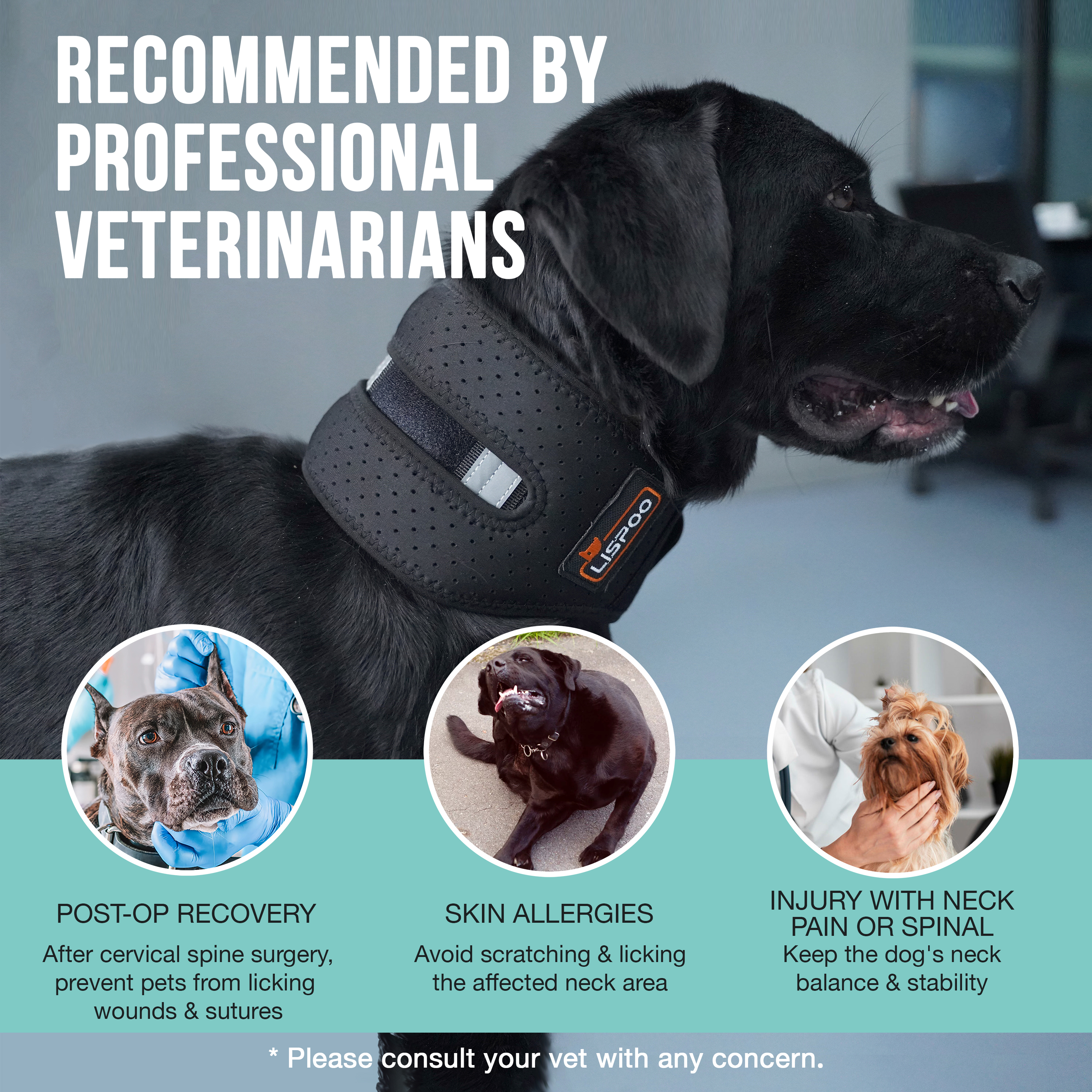 LISPOO Dog Neck Brace for Herniated Disc