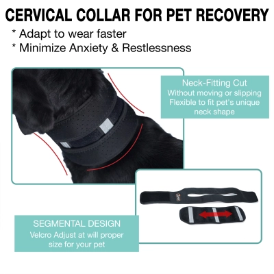 LISPOO Dog Neck Brace for Herniated Disc 02