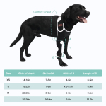 Dog single leg muff with reflective tape to prevent licking