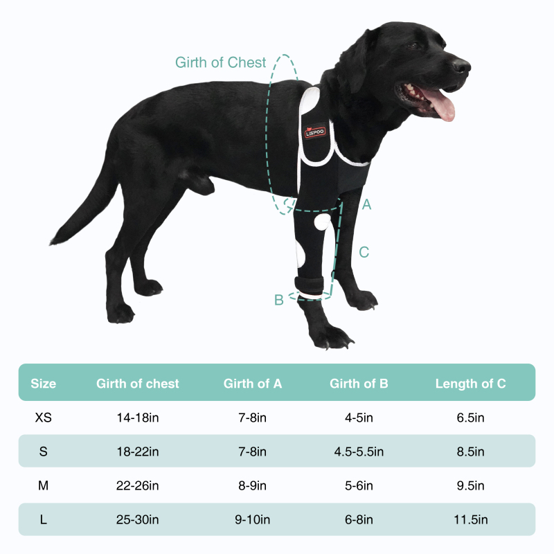 Dog single leg muff with reflective tape to prevent licking