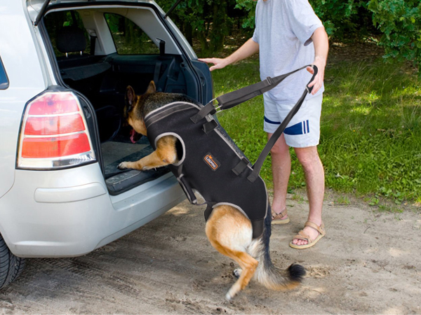 Dog Full Body Lifting Harness with Reflective Straps