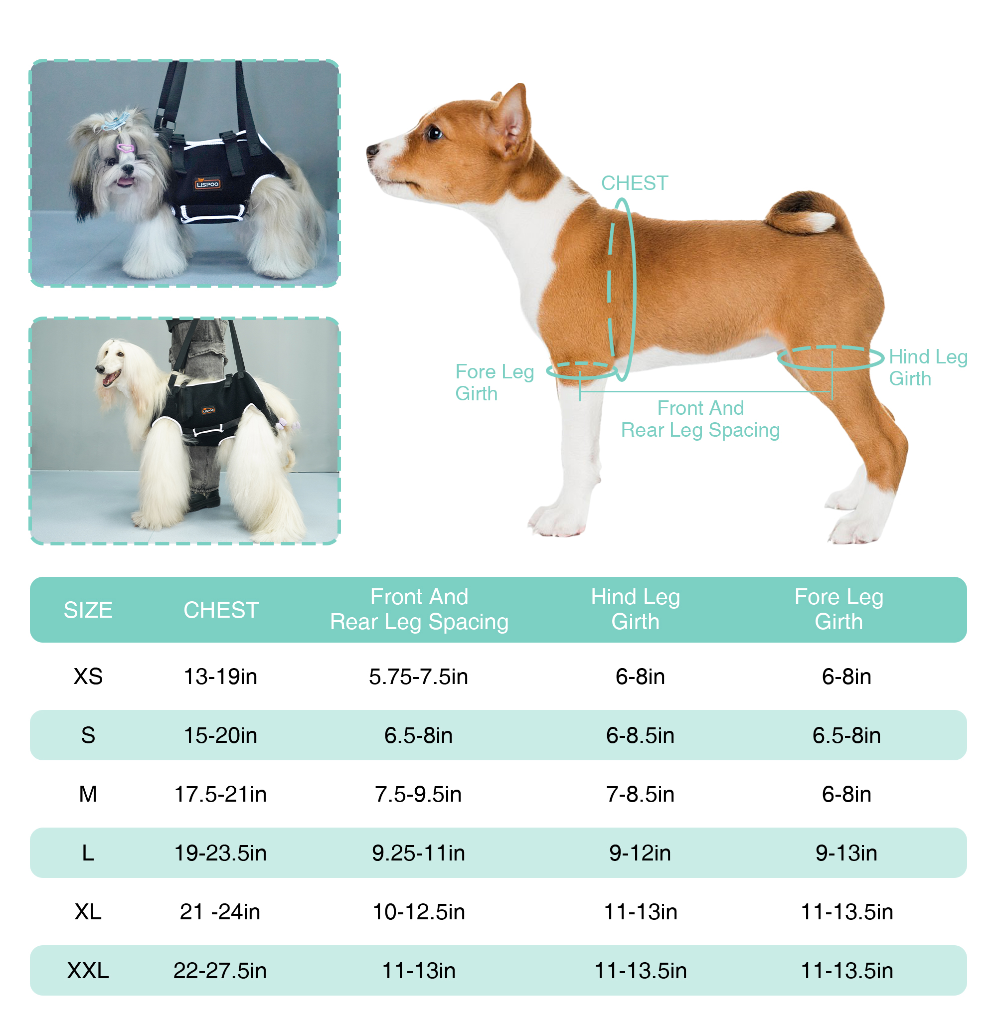 Dog body harness with reflective tape