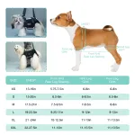 Dog body harness with reflective tape