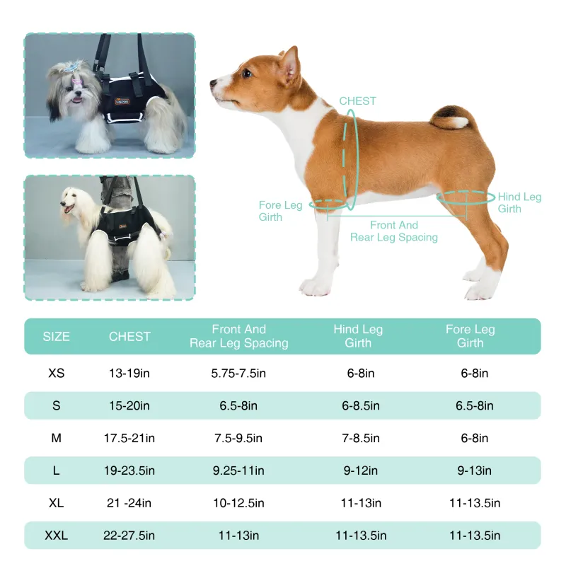 Dog body harness with reflective tape
