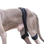 Dog Leg Braces For Hip Dysplasia