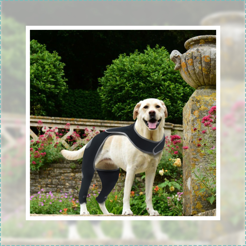 Dog Double Rear Leg Sleeves for Prevent Licking with Reflective Straps