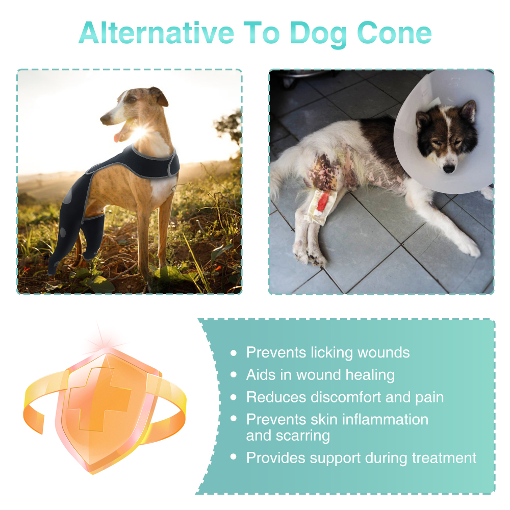 Dog Double Rear Leg Sleeves for Prevent Licking with Reflective Straps