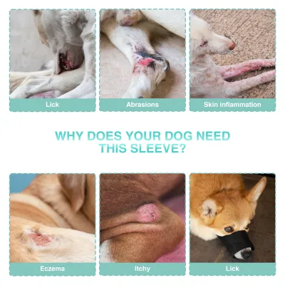 Dog Double Rear Leg Sleeves for Prevent Licking with Reflective Straps 02