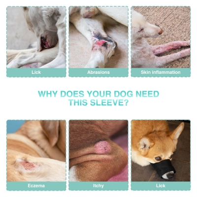 Dog Rear Leg Sleeve for Prevent Licking with Reflective Straps 02