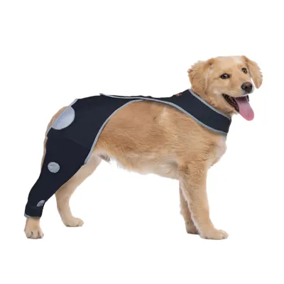 Dog Single Rear Leg Sleeves for Prevent Licking with Reflective Straps 01