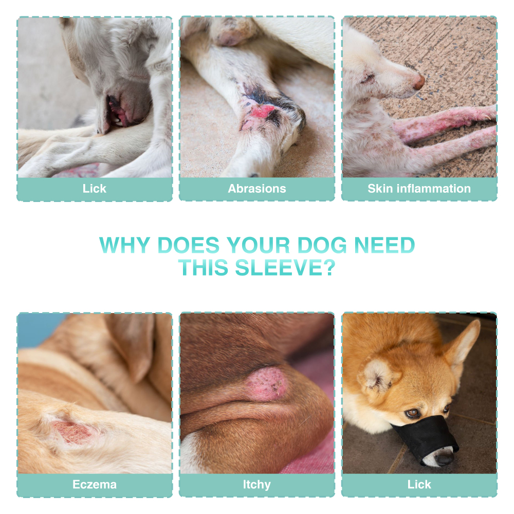 Dog Single Rear Leg Sleeves for Prevent Licking with Reflective Straps