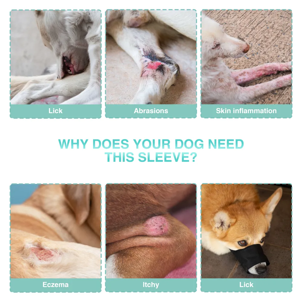 Dog Single Rear Leg Sleeves for Prevent Licking with Reflective Straps