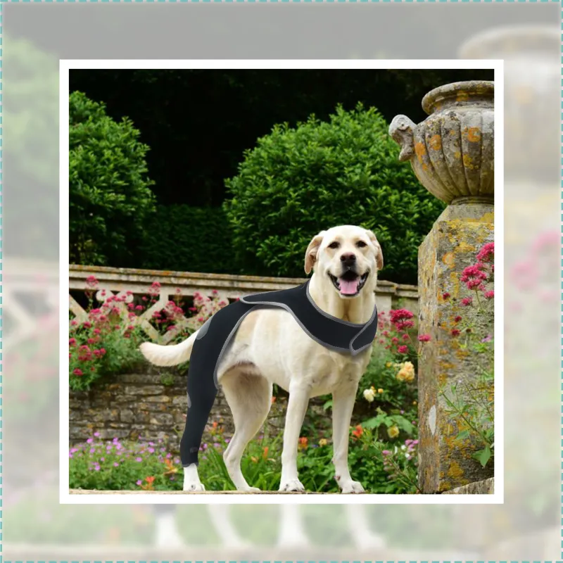 Dog Single Rear Leg Sleeves for Prevent Licking with Reflective Straps