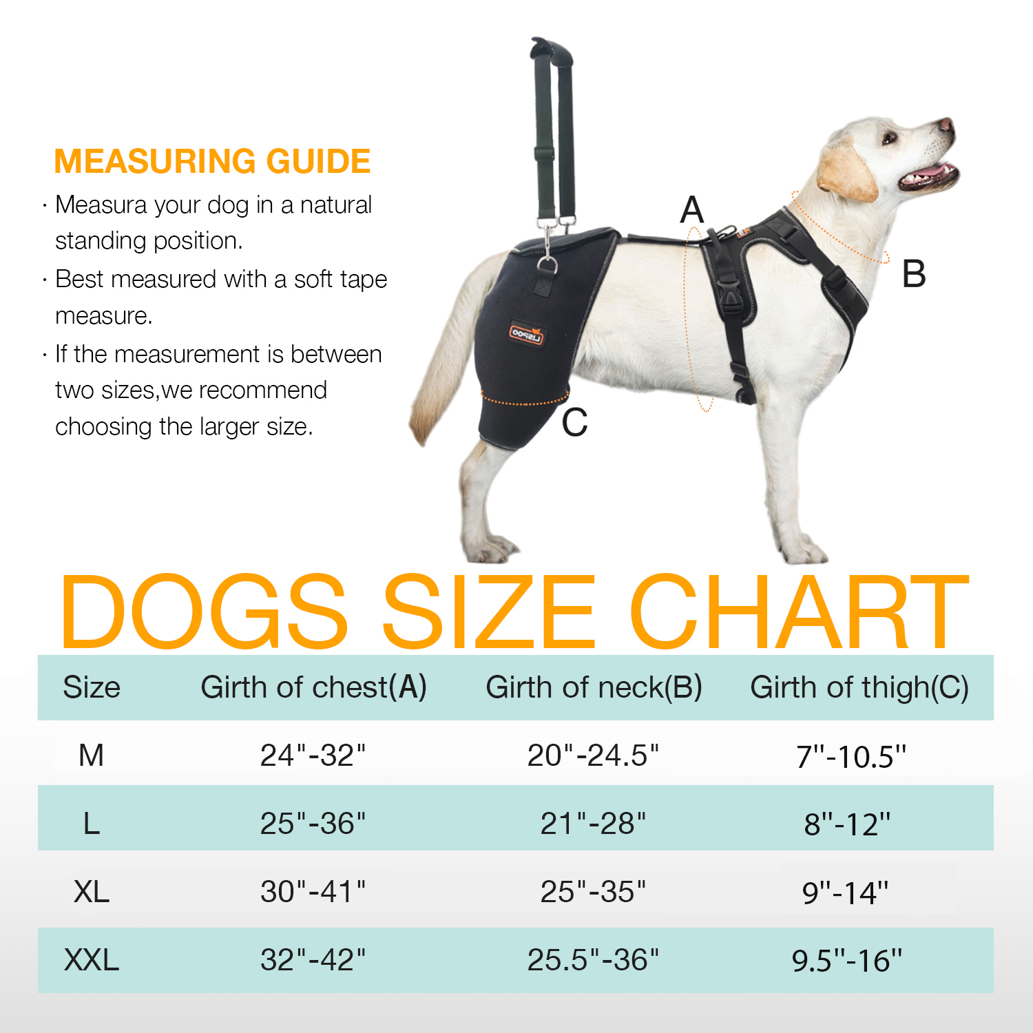 LISPOO Labrador Retriever Hip Brace