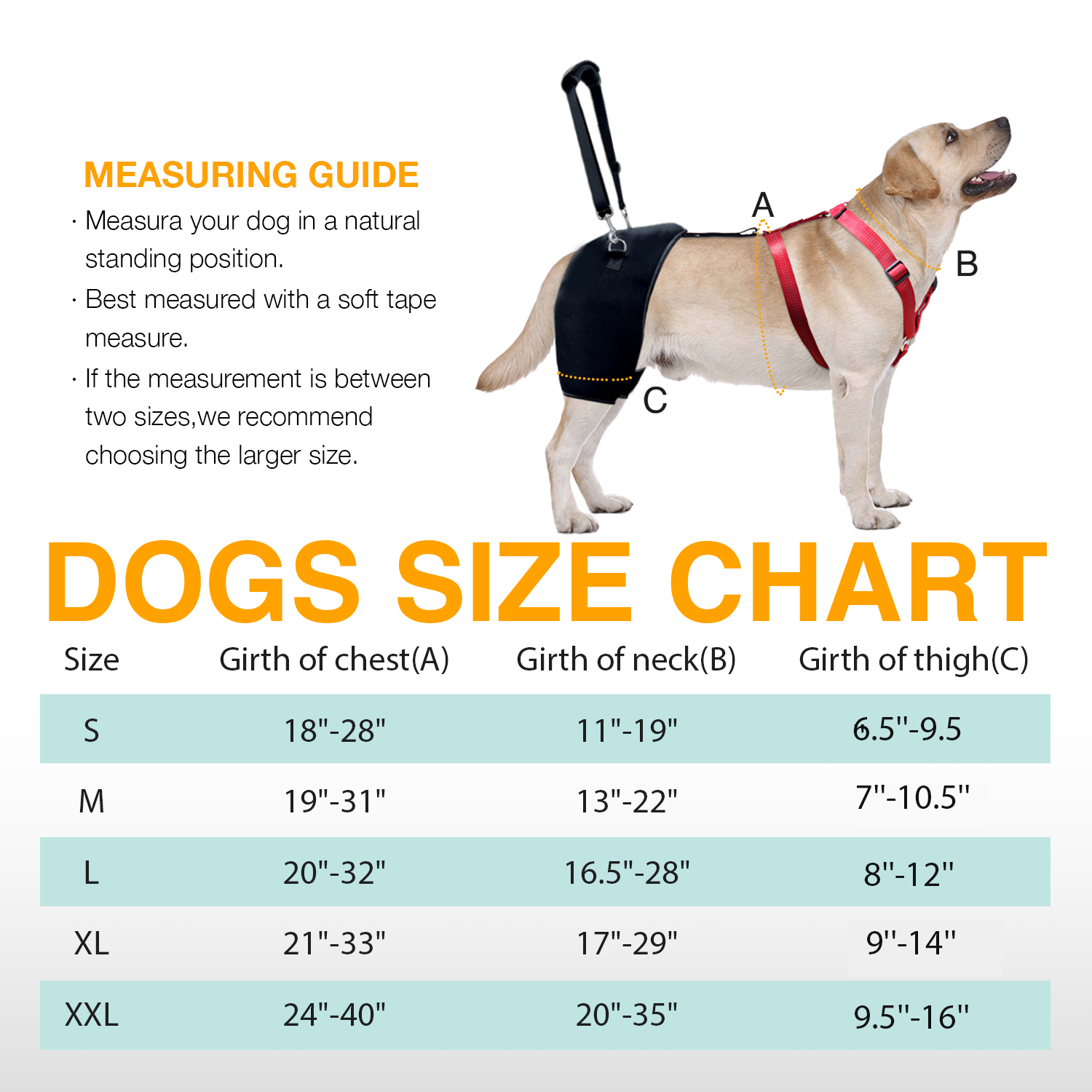 LISPOO dog hip brace with handle