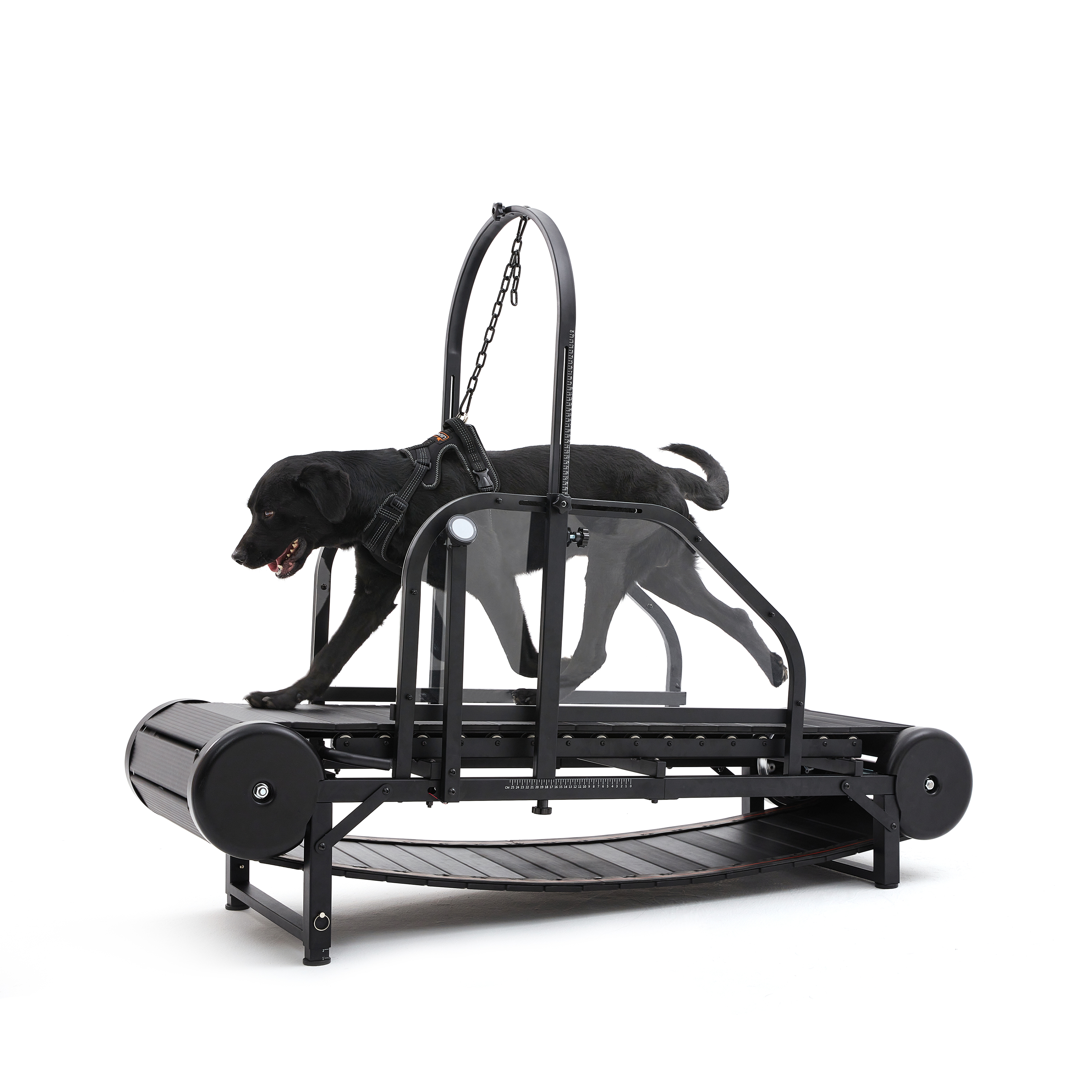 The latest dog treadmill with pedometer