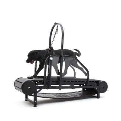 Dog Treadmill with Pedometer 01