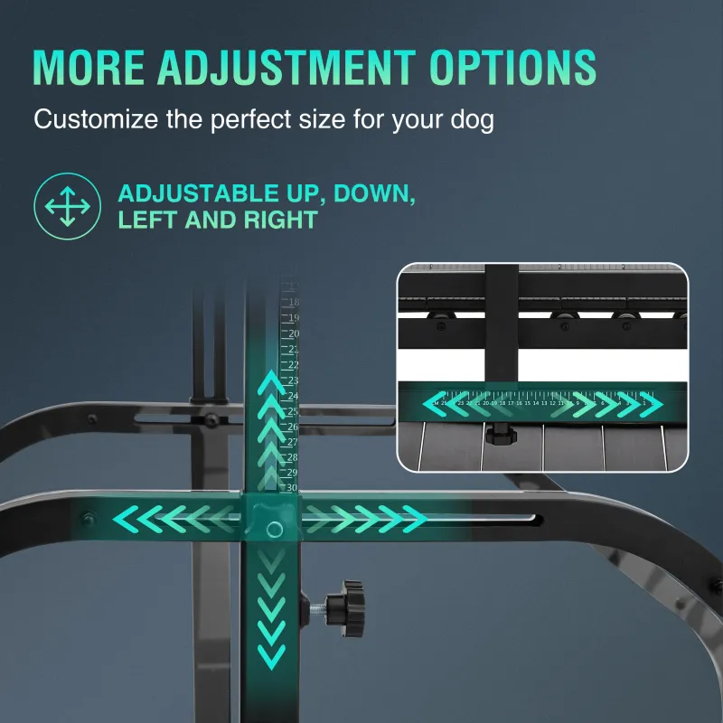 Dog Treadmill with Pedometer