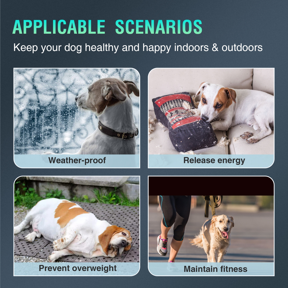 Dog Treadmill with Pedometer
