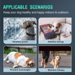 Dog Treadmill with Pedometer