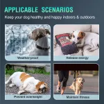 Dog Treadmill with Pedometer