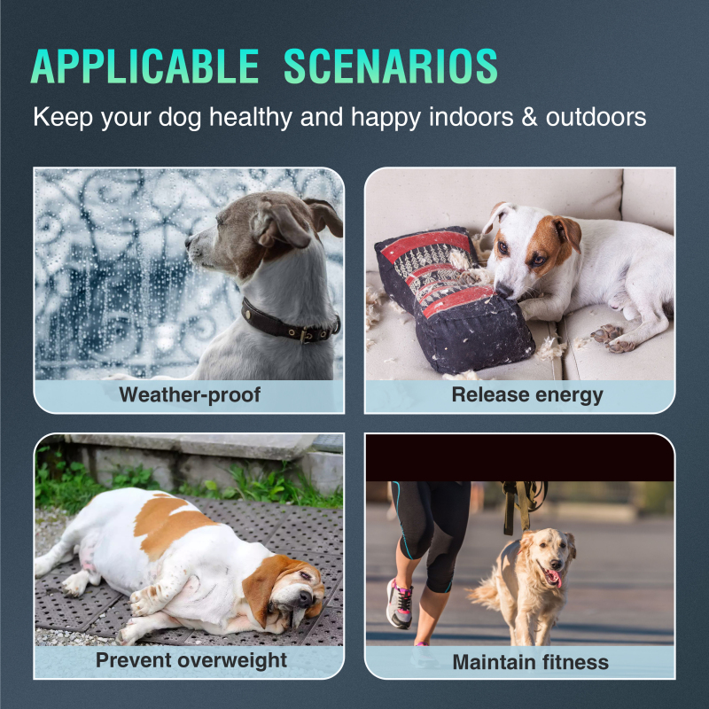 Dog Treadmill with Pedometer