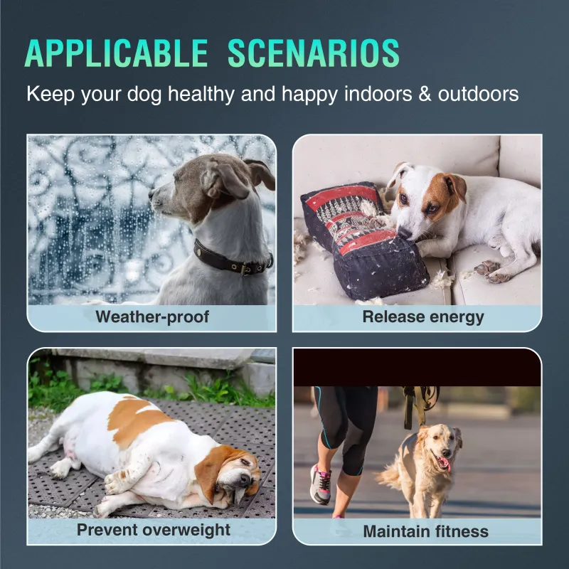 Dog Treadmill with Pedometer