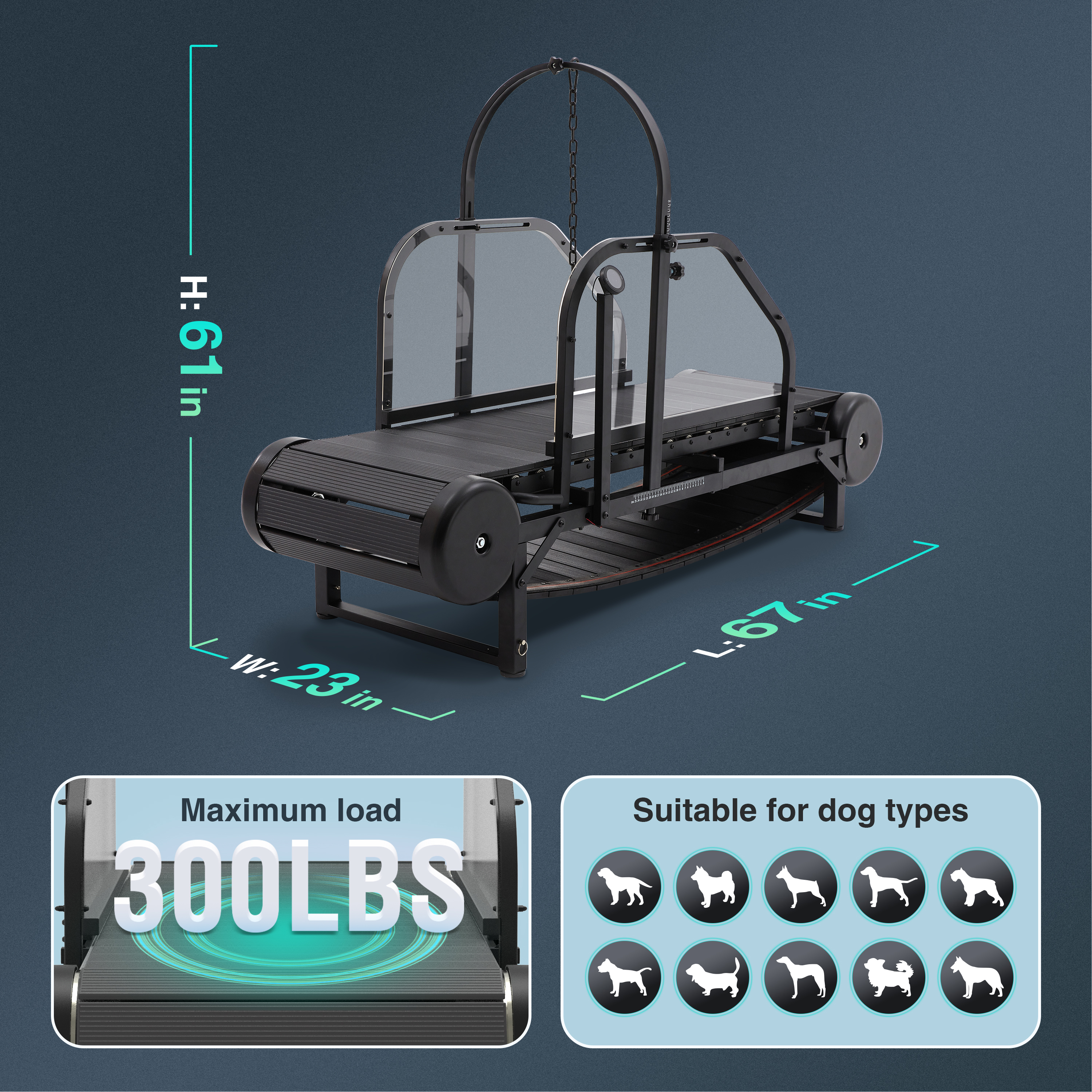 The latest dog treadmill with pedometer