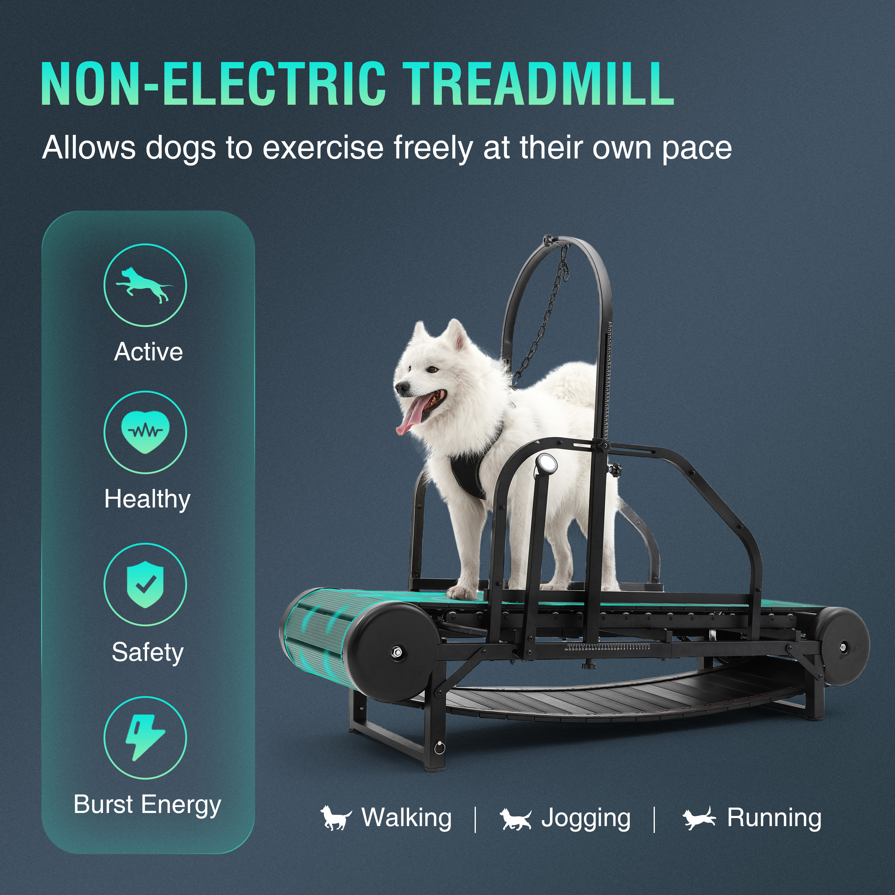 The latest dog treadmill with pedometer