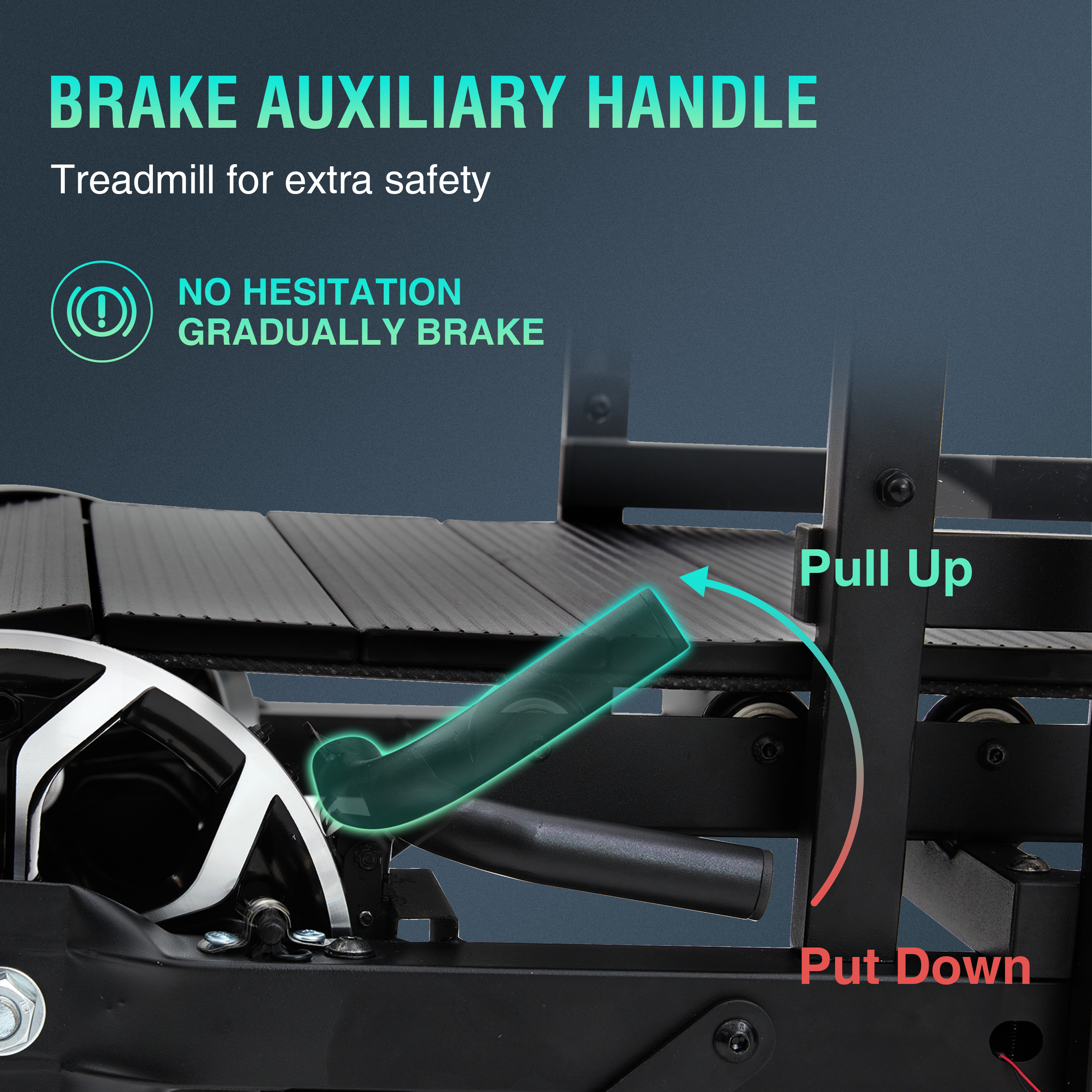 The latest dog treadmill with pedometer