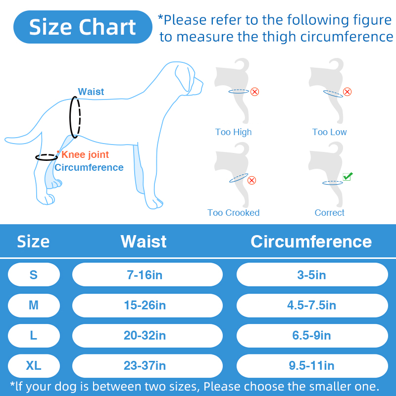 Dog Leg Braces For Hip Dysplasia